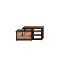 MEBLOMIX - PESCAR RTV 21