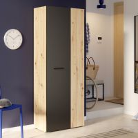 Forte - NET306 Szafa MS263-M712