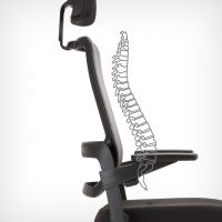 NOWY STYL - XILIUM Fotel Obrotowy SWIVEL CHAIR MESH BLACK | Oparcie - Siatka | Zgodny z Rozporządzeniem z 2023 roku