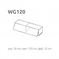 LAYMAN - BRIKS WG120 | Moduł poziomy z frontem | Otwierany w górę