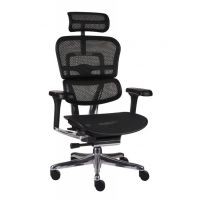 GROSPOL - ERGOHUMAN 2 ELITE Fotel Obrotowy BS Black | Czarny Stelaż | Czarna Siatka | Mechanizm Drift Tilt | Podłokietnik 5D | Fotel do 150 kg | Zgodny z Rozporządzeniem z 2023 roku