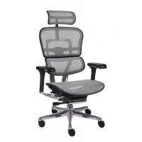 GROSPOL - ERGOHUMAN 2 ELITE Fotel Obrotowy BS Grey | Czarny Stelaż | Szara Siatka | Mechanizm Drift Tilt | Podłokietnik 5D | Fotel do 150 kg | Zgodny z Rozporządzeniem z 2023 roku
